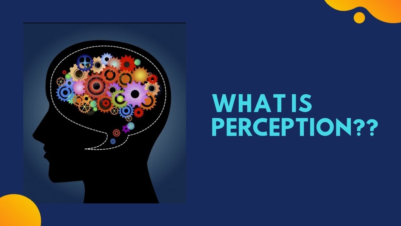 What is perception?|in urdu/hindi