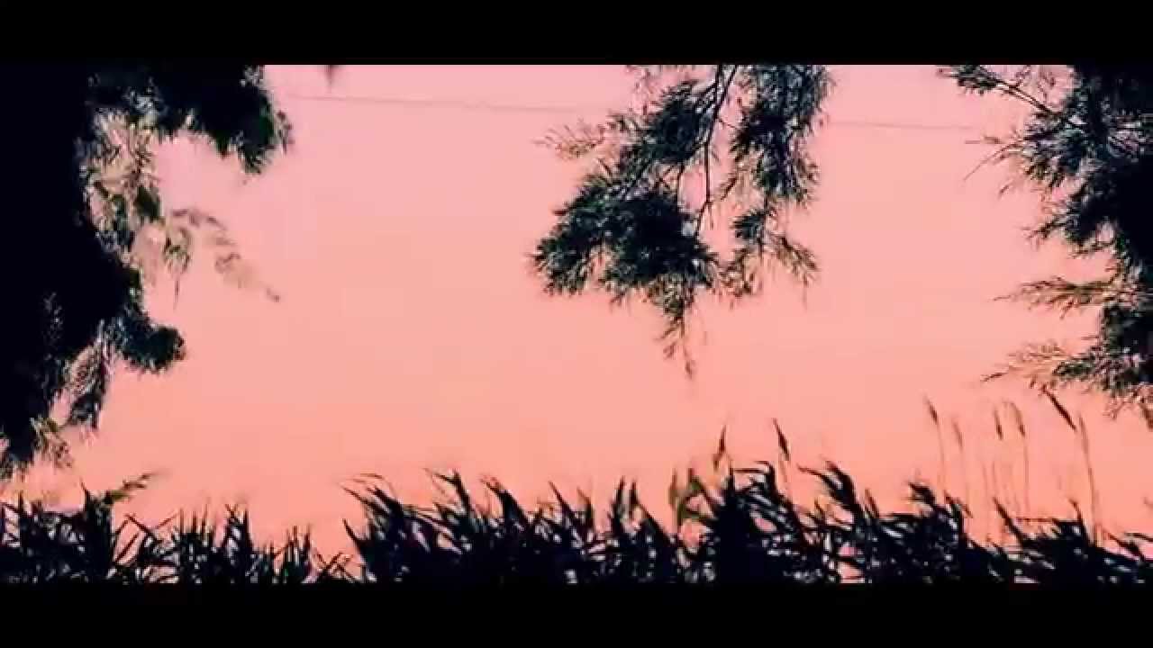 Finley Quaye - Dice