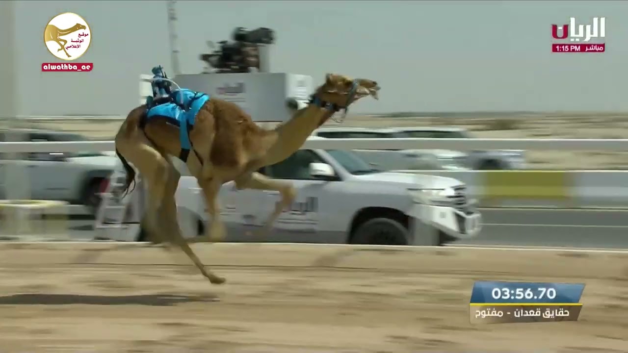الشوط 2 (الكدري) لـ علي بن خليفه السويدي 5:46:22 , مهرجان ختامي الشحانية 2023/3/5 حقايق