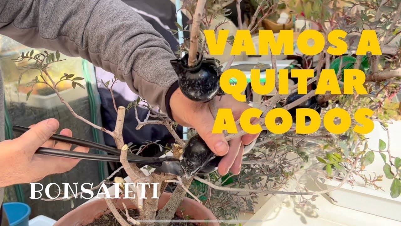 💚 Vamos a quitar los acodos
