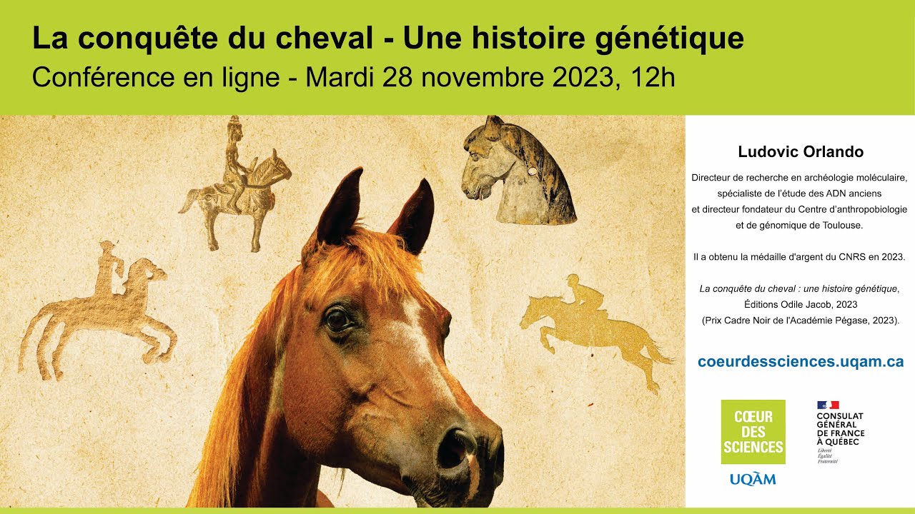 Conférence - La conquête du cheval - Une histoire génétique - Mardi 28 novembre 2023