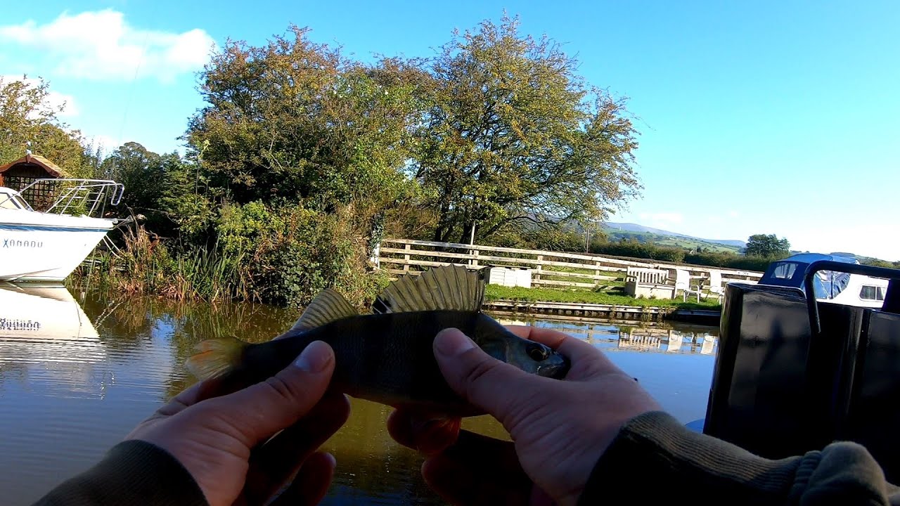 Light lure fishing on the canal for perch and pike UK