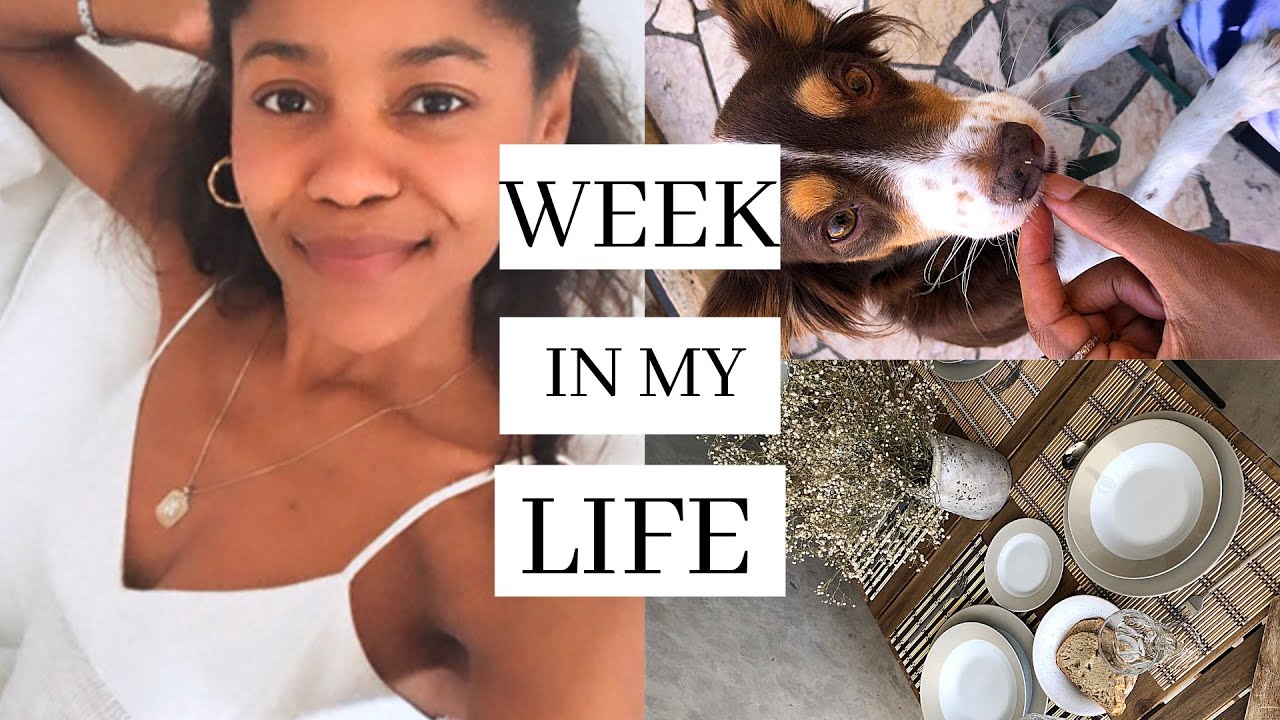 OS ÚLTIMOS CARTUCHOS DO VERÃO | WEEKLY VLOG | Simone Santos