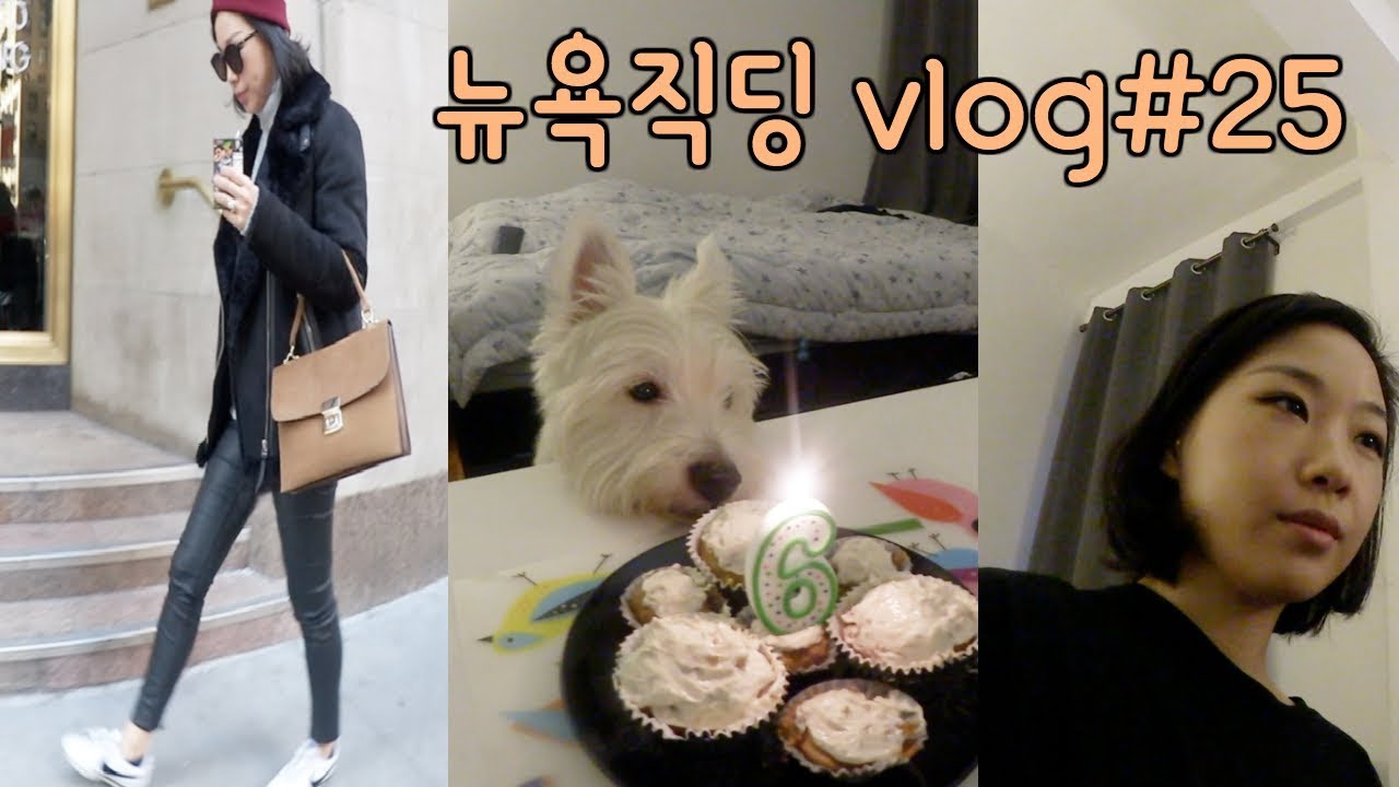 첫출근, but 몰래 다른회사 인터뷰 (바람핀느낌;;) // 🐶나생일이개 | 쥬히 뉴욕직딩vlog