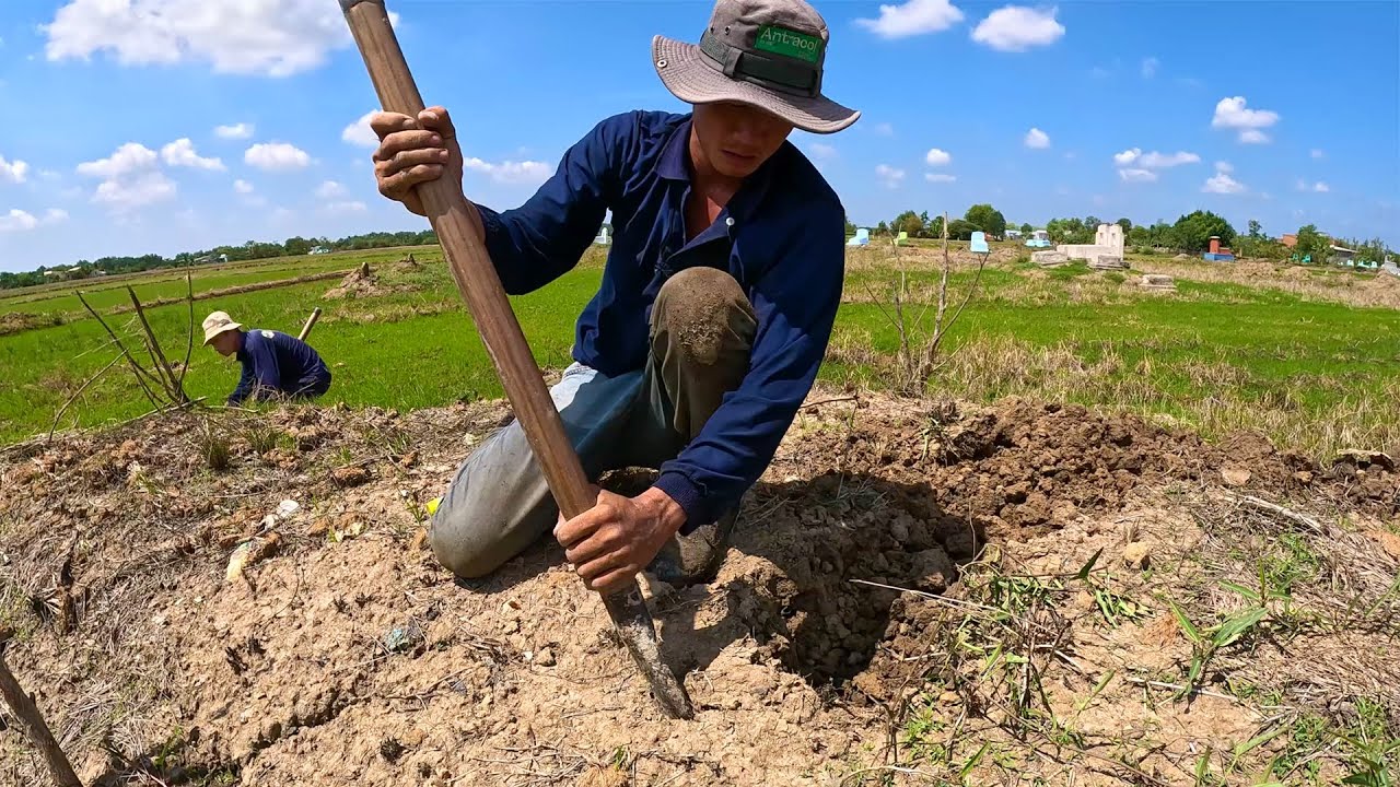Ngày săn bắt có số lượng RẮN đạt KỈ LỤC | TGSB #610