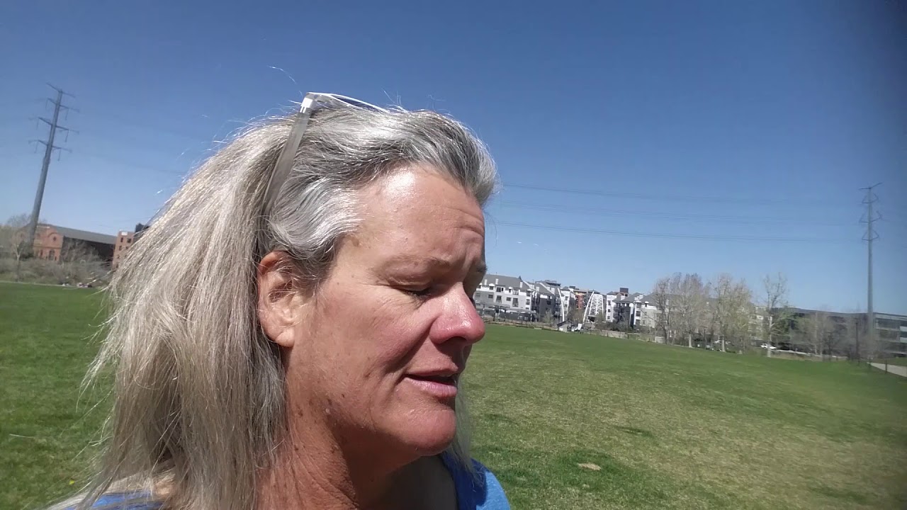Commons Park