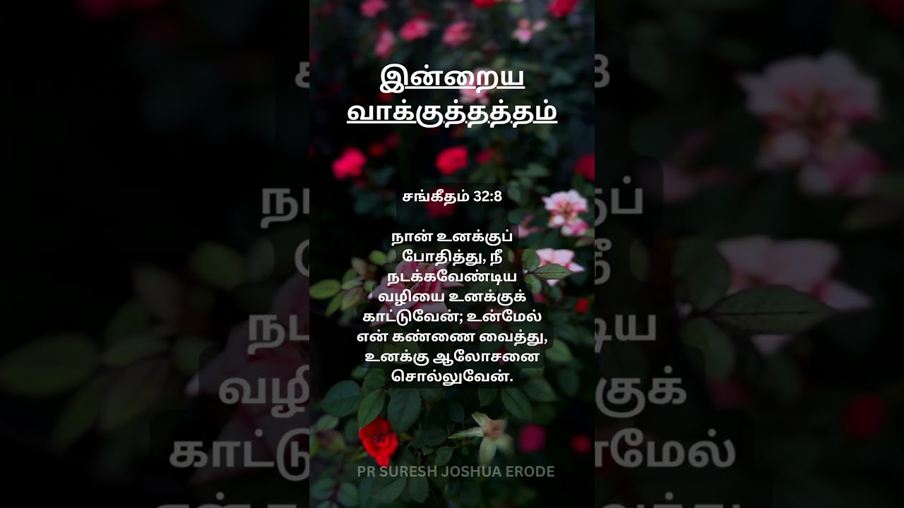 BEST Tamil Bible Verse for DAILY inspiration from Top Pastor