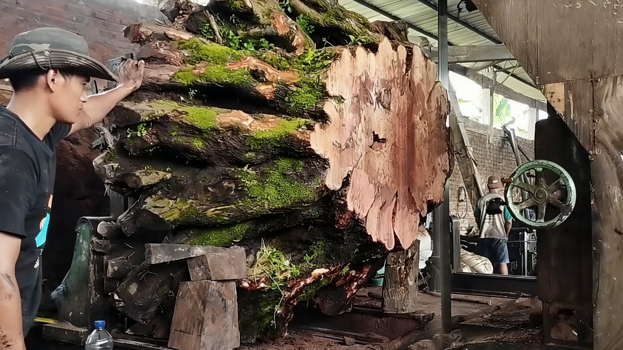 Only artists understand!! Processing large stumps is expensive