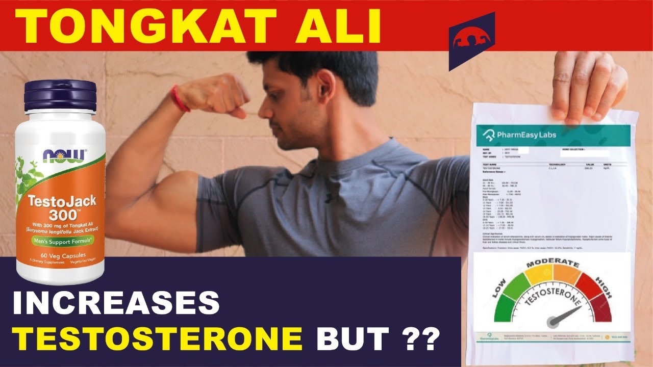 TONGKAT ALI : PROVEN SUPPLEMENT TO INCREASE TESTOSTERONE BUT ????