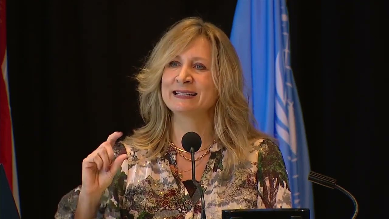 International Law and the New Cold War - Afternoon Keynote Speech