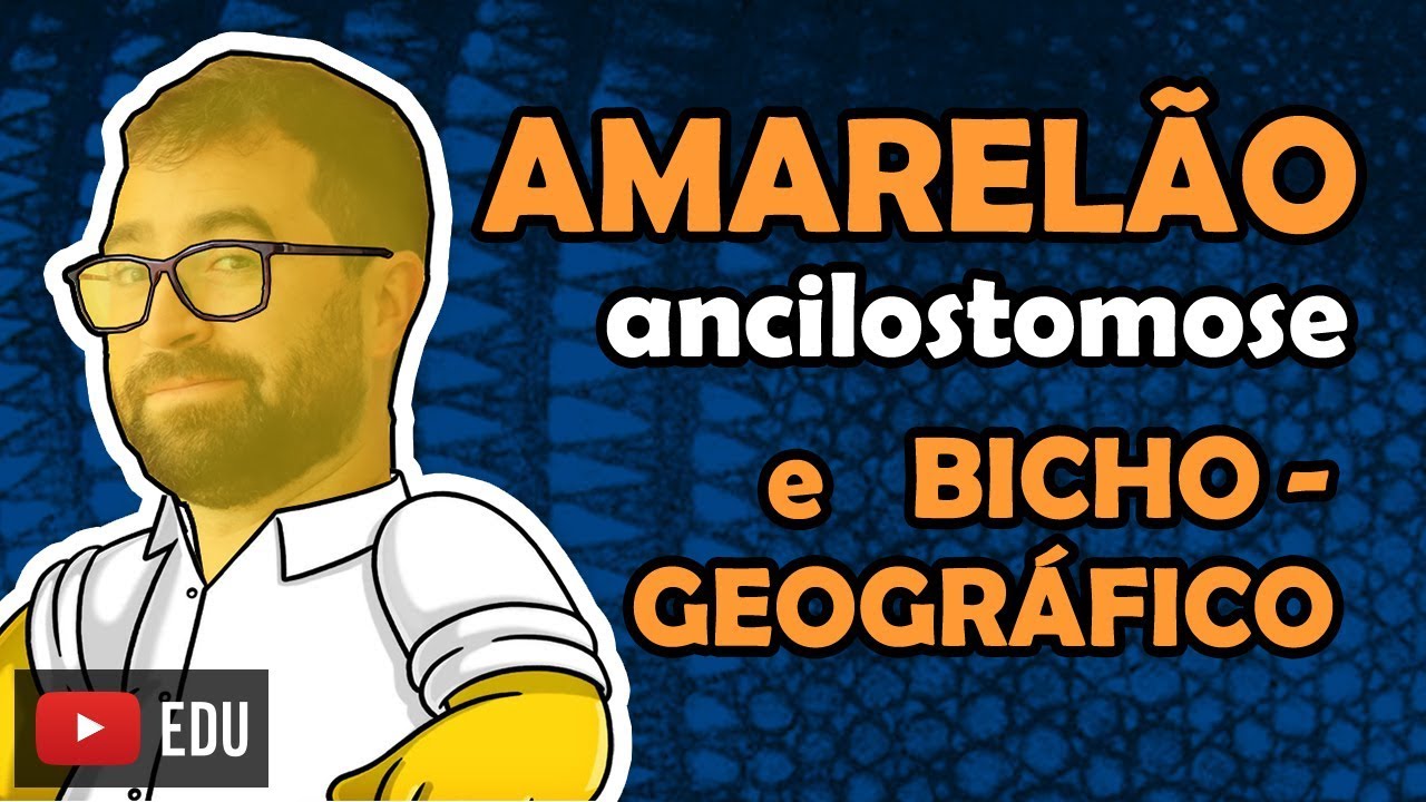 Ancilostomose (Amarel&atilde;o) e Bicho-geogr&aacute;fico - Aula 15 - M&oacute;dulo VI: Zoologia | Prof. Guilherme