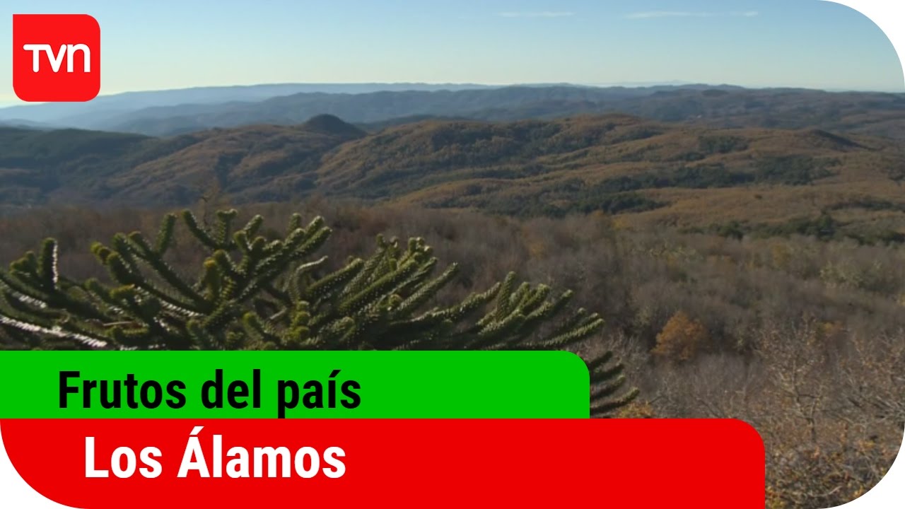 Frutos del País | T12E02: Los Álamos