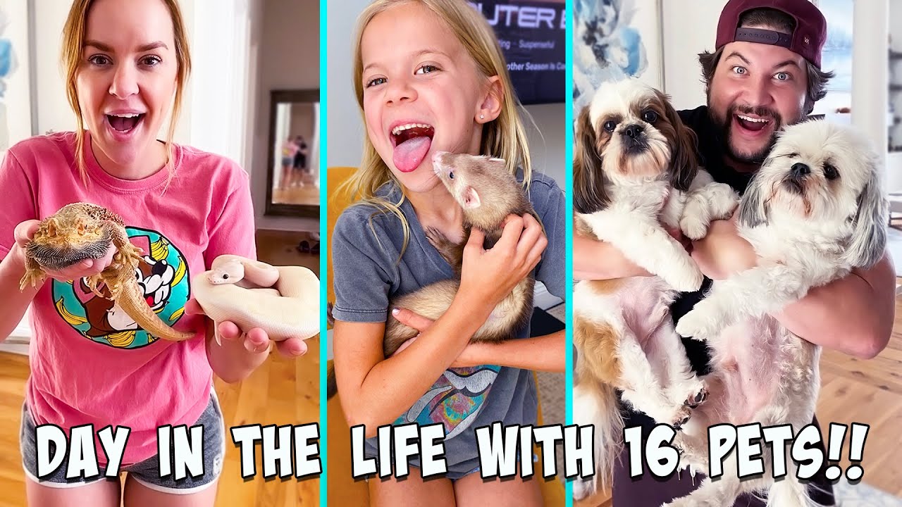A DAY IN THE LIFE WITH 16 PETS!!