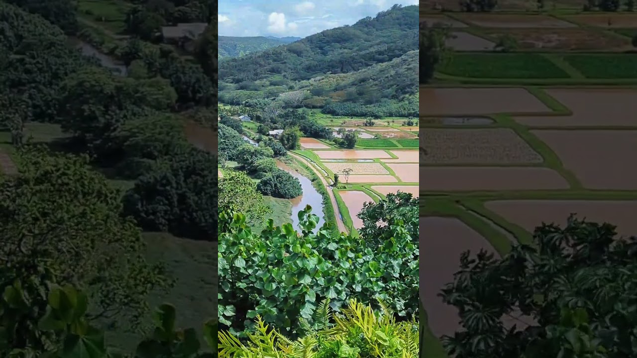 Why Hanalei Valley Lookout is Worth the Stop