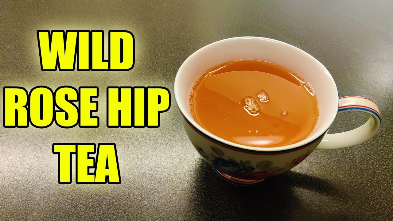 How To Make Rose Hip Tea - Foraging For Food