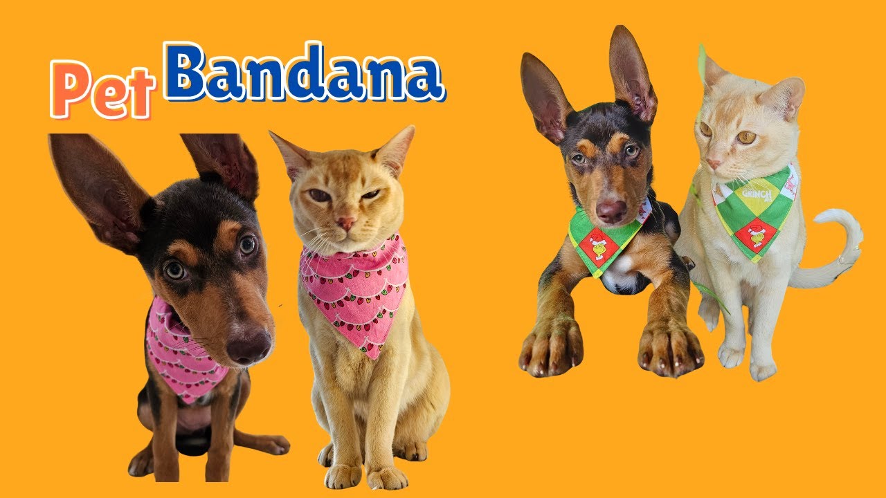 Sewing DIY Pet Bandana with measurements