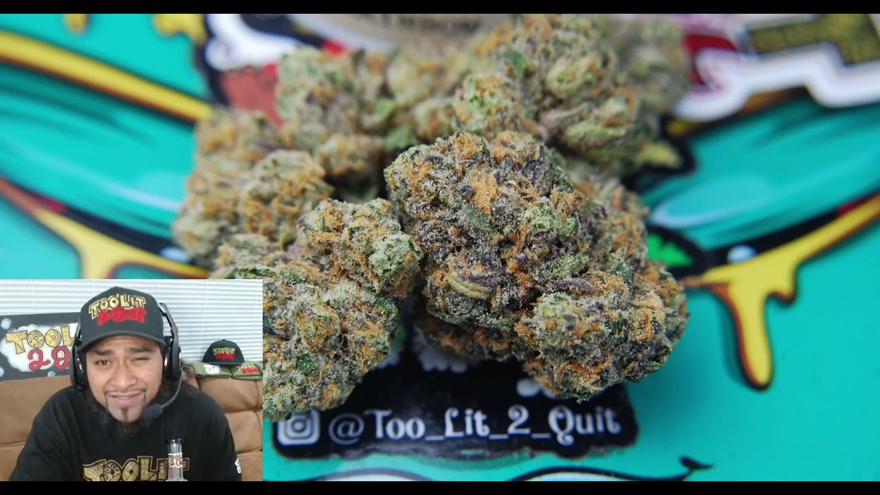 Rainbow Sherbert #11 x (Rainbow Sherbert #11) #8 Connected Cannabis Review #california #toko