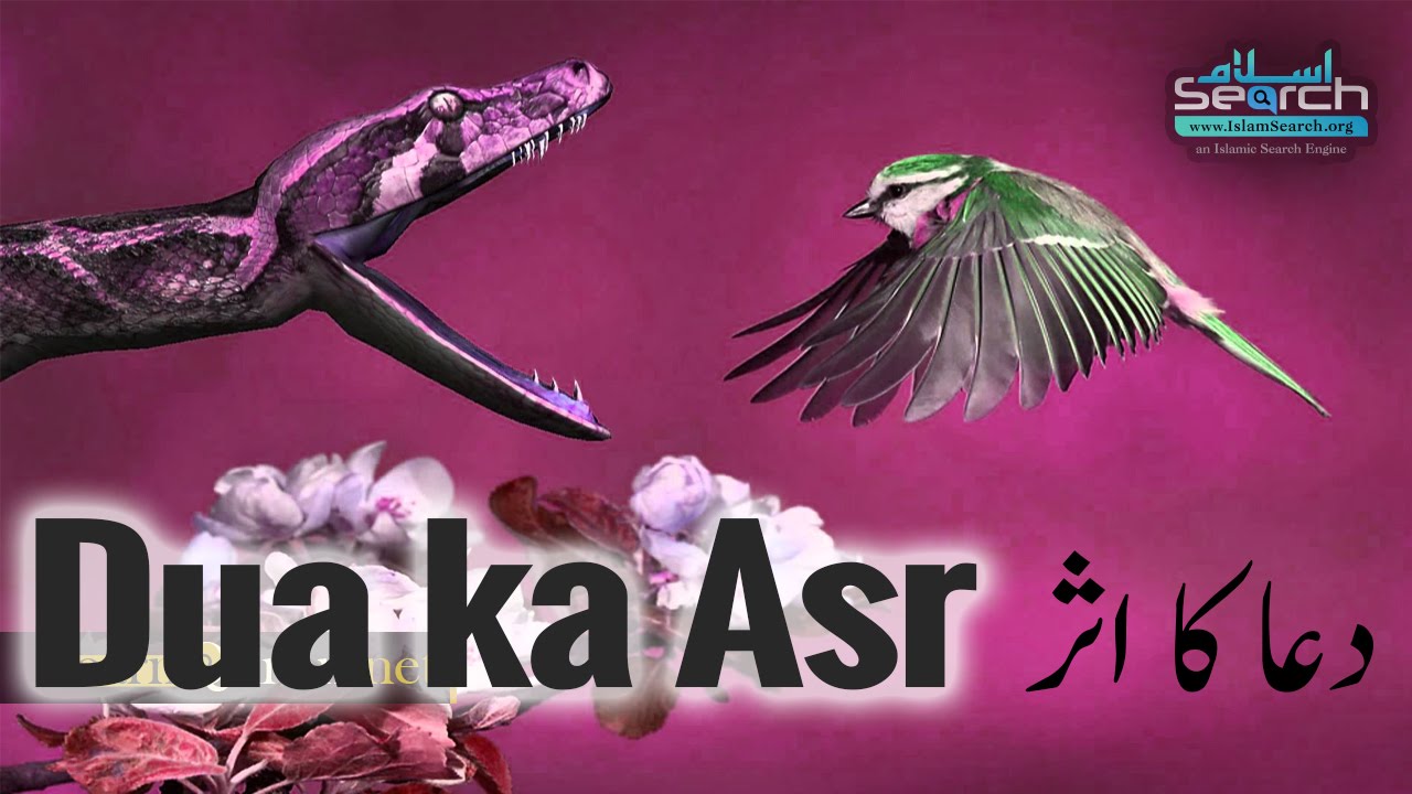 Dua ka asar ┇ دعا کا اثر ┇ LearnQuran.net