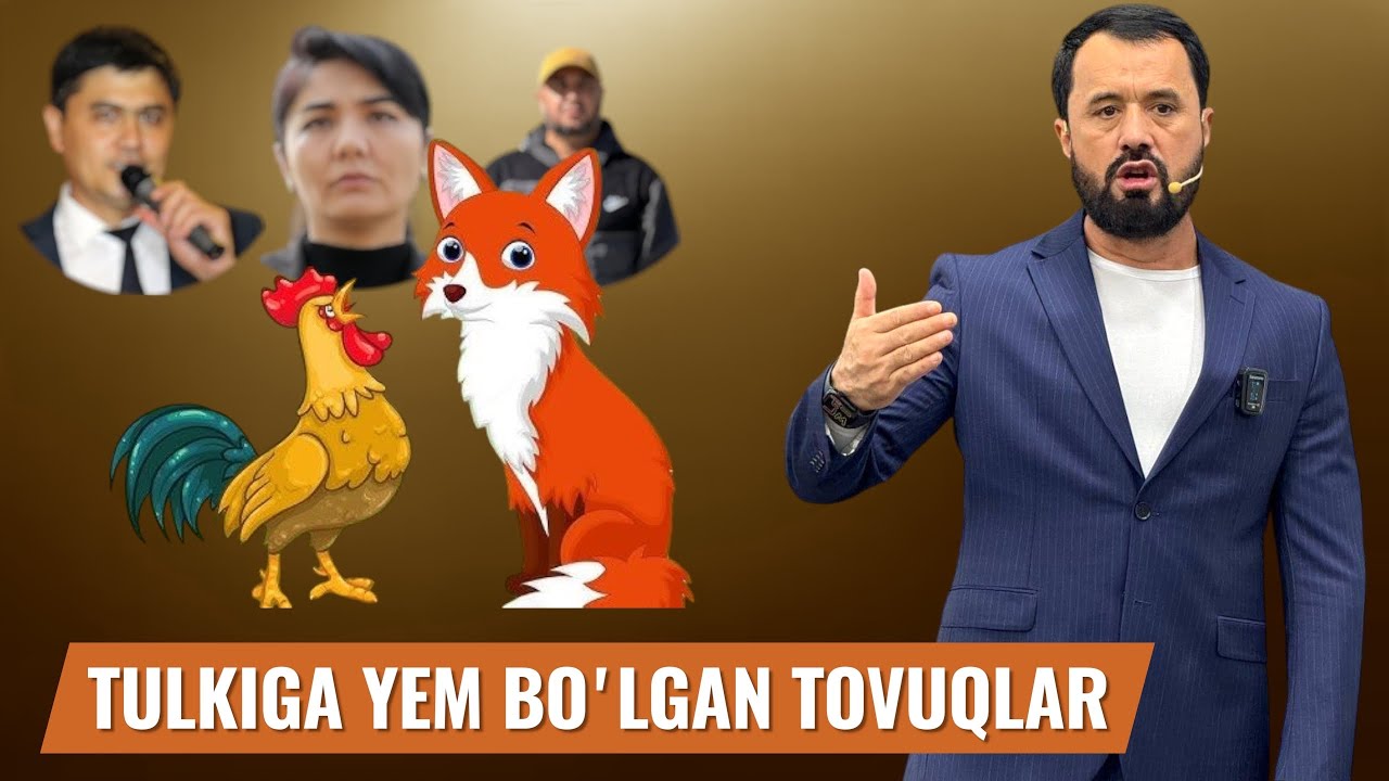 TULKIGA YEM BOʼLGAN TOVUQLAR ABROR MUXTOR ALIY 