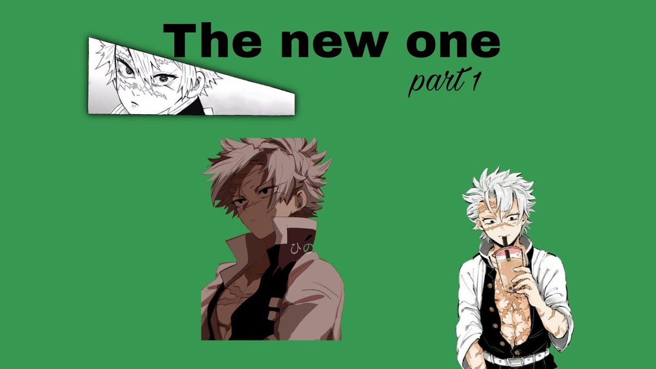Demon Slayer series~Sanemi x Y/n~The new one