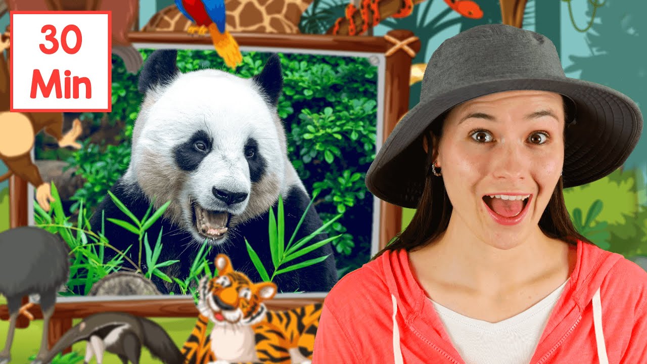 Animal Songs For Kids | 30 Minutes of Animals Kids Songs