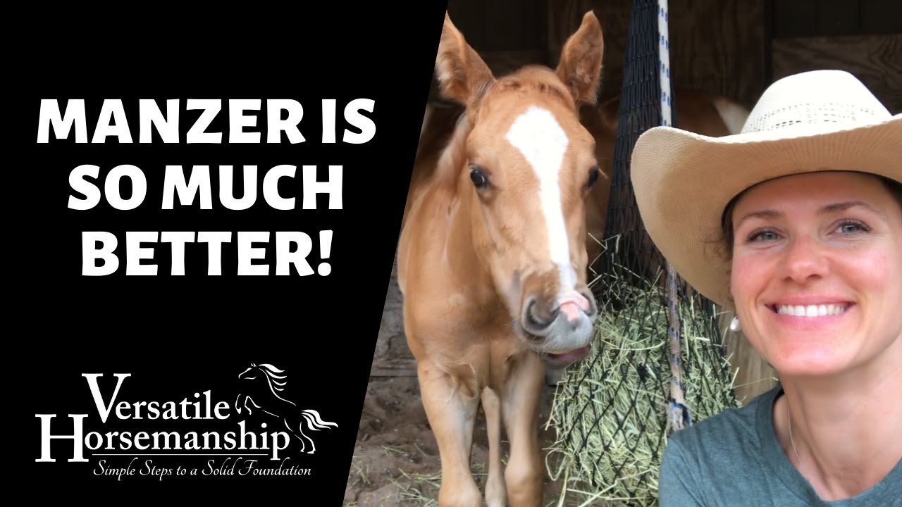 So Much Better! // Versatile Horsemanship