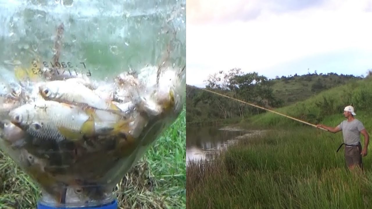 A isca era a melhor e tinha tudo para pegar os grande peixes mas...