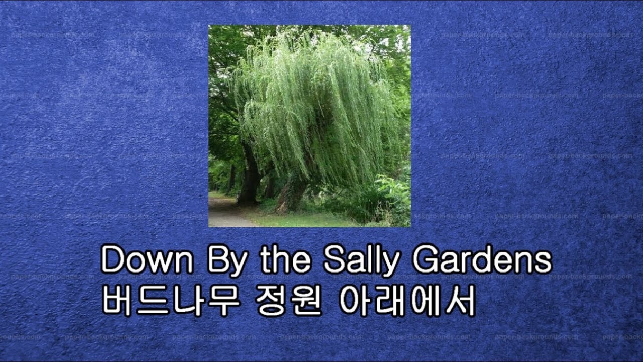 Calum Malcolm - Down By The Sally Gardens - 버드나무 정원 아래에서 2009