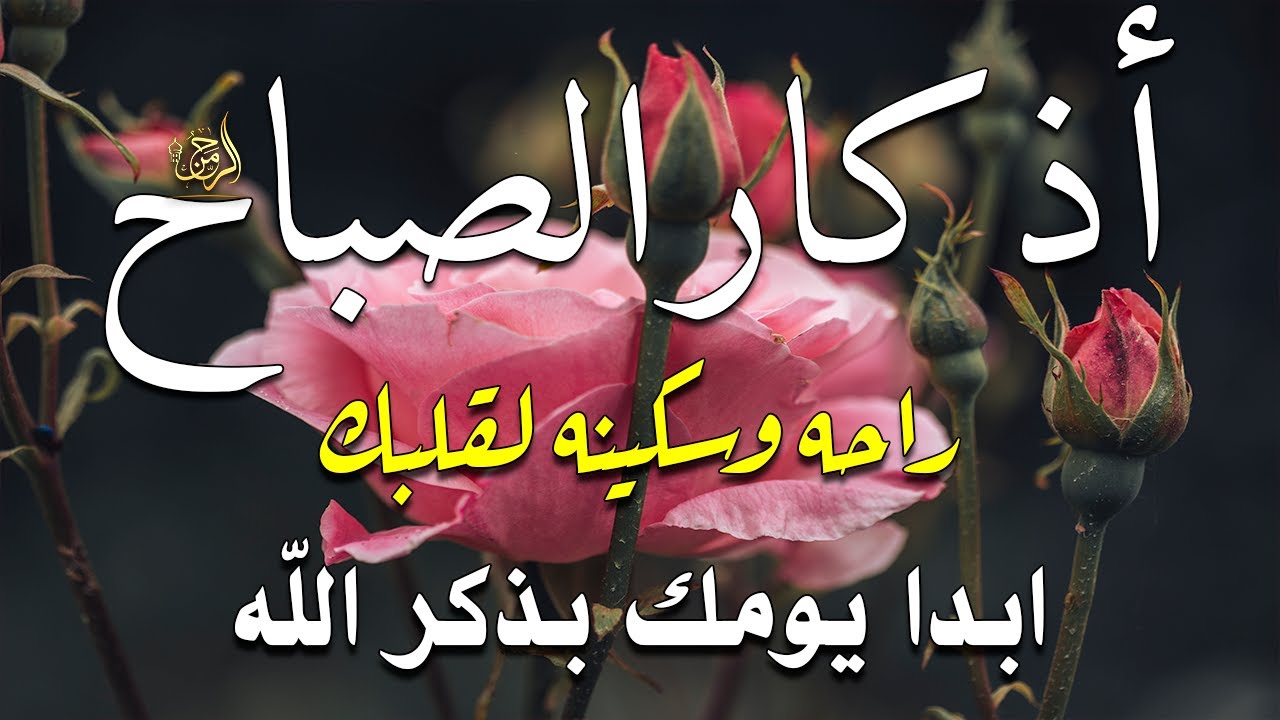 اذكار الصباح بصوت يريح قلبك راحه نفسيه💚حصن نفسك وبيتك من الشيطان علاء عقل Morning adhkar