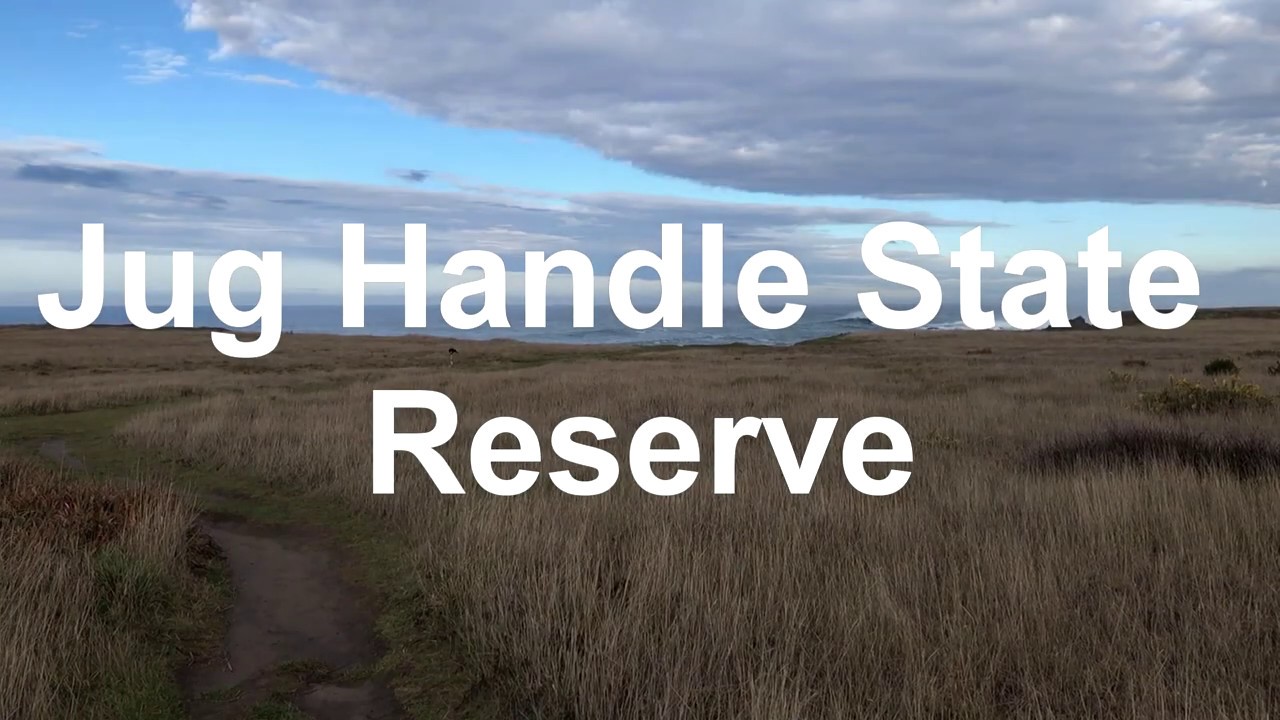 Jug Handle State Reserve