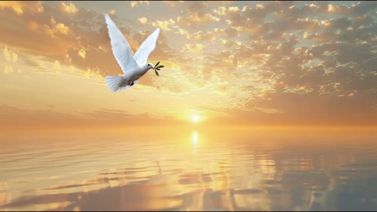 Music for Peace & Hope 🌅 Calm Instrumental for Strength in Difficult Times