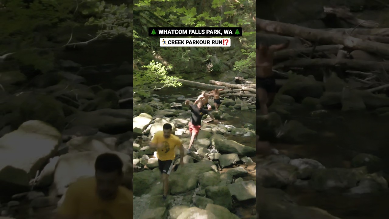 Nature's Playground at it's Finest 🏃&zwj;♂️🌲 I cant believe i have this as my backyard #parkour #running