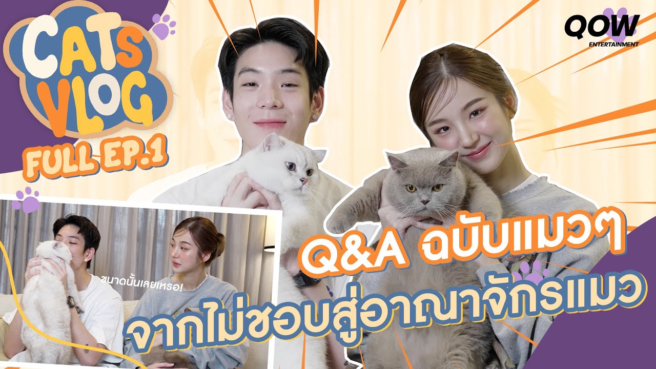 จากไม่เลี้ยงแมวนะ = อาณาจักรแมว 🐱  | CATS VLOG EP.1