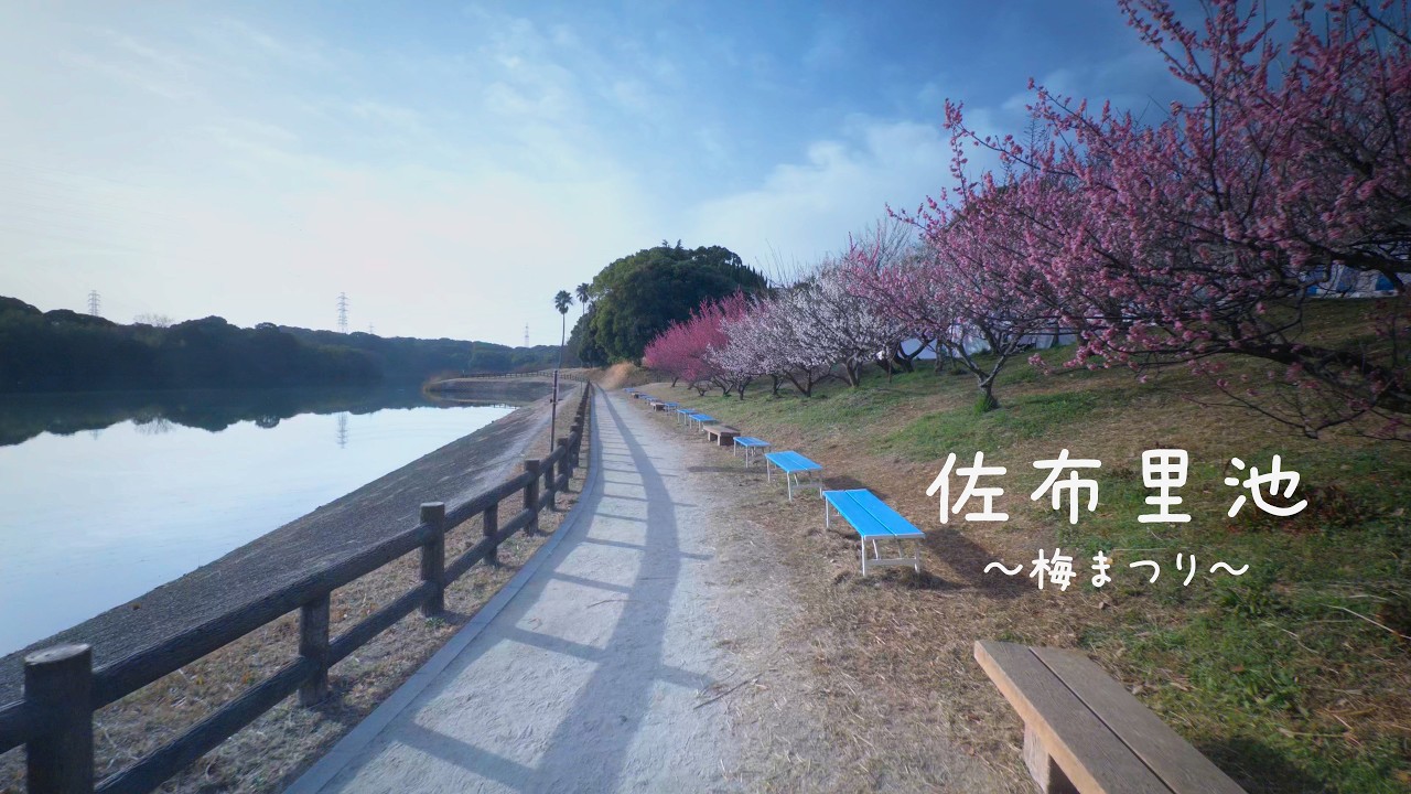 佐布里池梅まつり （愛知県）