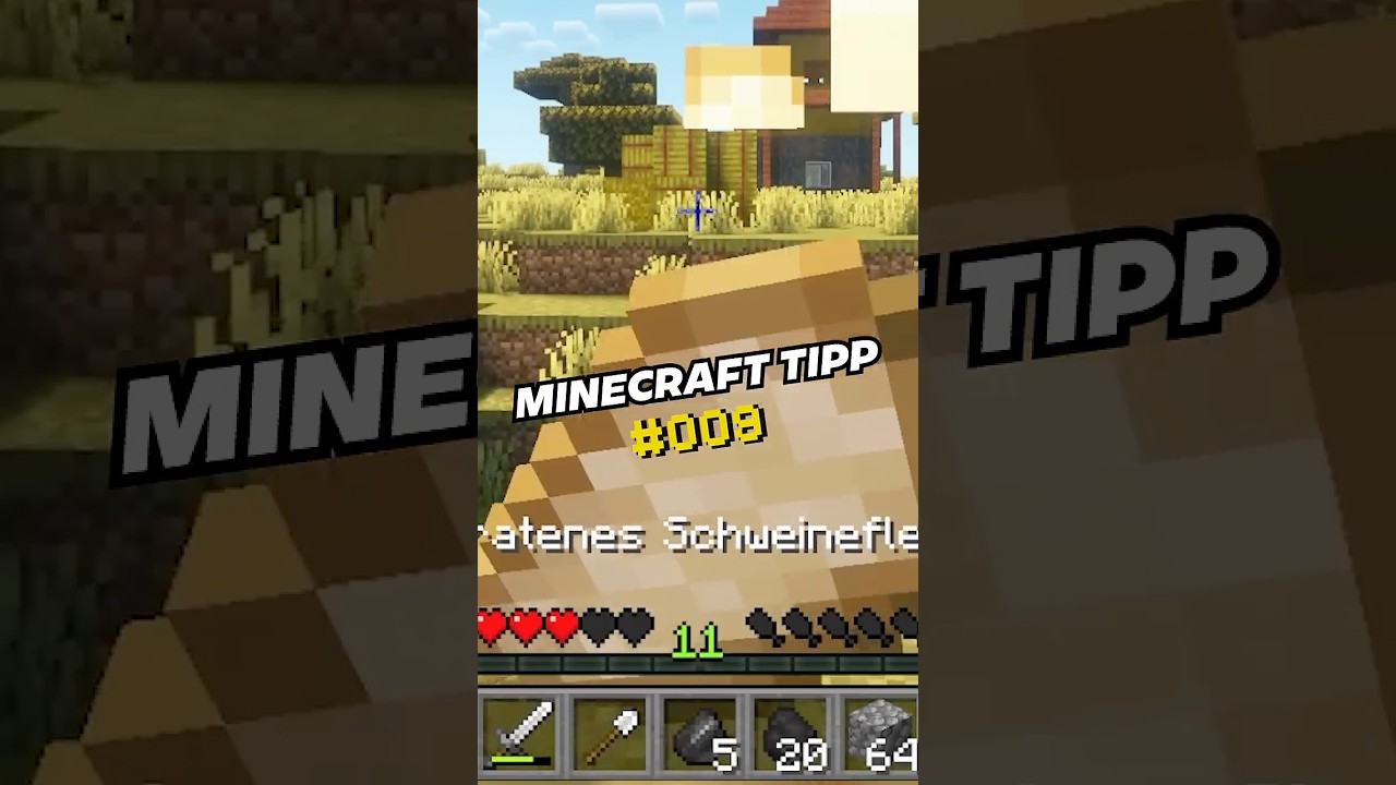 MINECRAFT TIPPs f&uuml;r Noobs #9 - TONNEN Brot in MINUTEN! #minecraft #minecraftbuilding