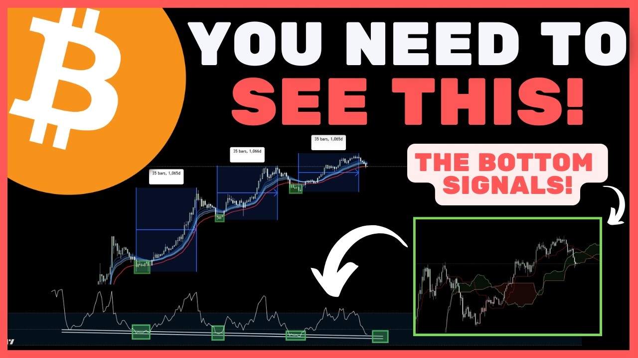 Bitcoin (BTC): The ONLY 3 Macro Bottom Indicators You Need!