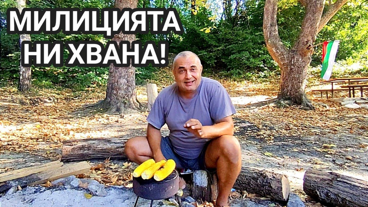 МЛЕЧНА ЦАРЕВИЦА ПЕЧЕНА НА ЖАР ОТ ДЪРВЕНИ ВЪГЛИЩА! КАК НИ ЗАЛОВИ СЕЛСКОСТОПАНСКА МИЛИЦИЯ С ЦАРЕВИЦА..