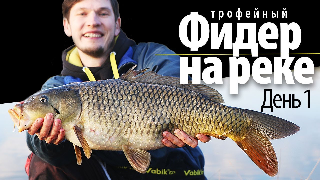 Ловля РЕЧНОГО карпа весной на фидер / день 1 /  фидерная рыбалка 2021