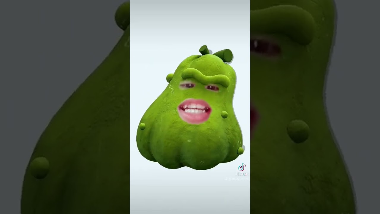 m&igrave;nh l&agrave; c&acirc;y x&uacute;c x&iacute;ch