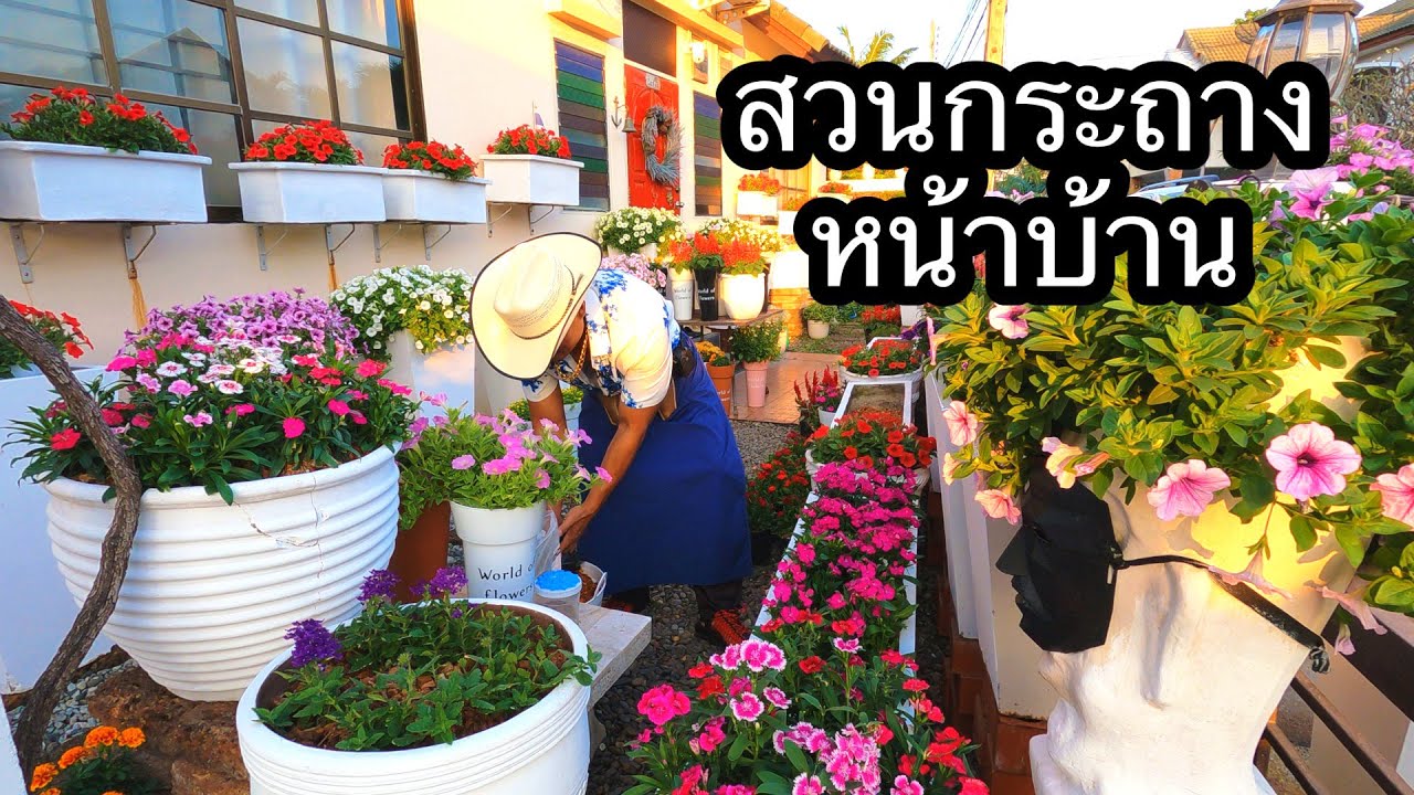 สวนกระถางหน้าบ้าน ปลูกดอกไม้สวยๆ สับเปลี่ยนหมุนเวียนกันไป