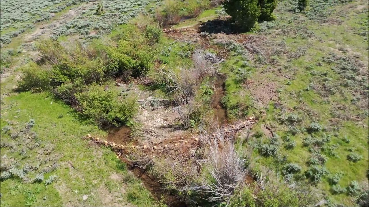 Beaver Dam Analog Structures At Work Near Red Rocks Lake National Wildlife Refuge, Montana