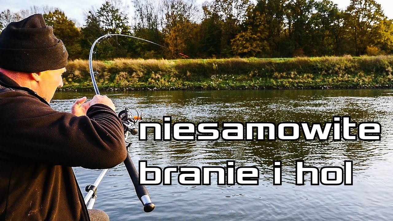 Jak dobrać się do brzany? Nieprawdopodobne branie i hol. Gruntówka Cz 2