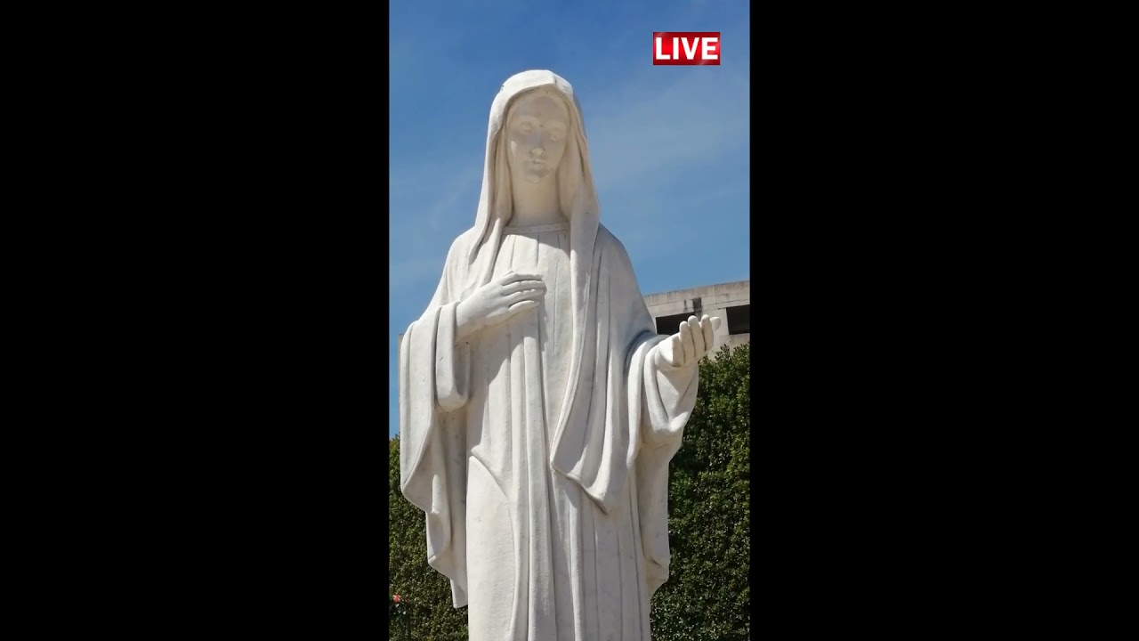 Mesaj URGENT Fecioara Maria Regina Păcii,Medjugorje  8 05 2021,Emilia Mezei