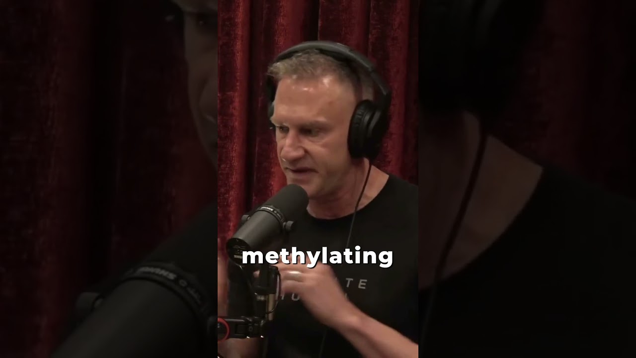 Everyone Should Take A Methylated Multivitamin with Gary Brecka and Joe Rogan