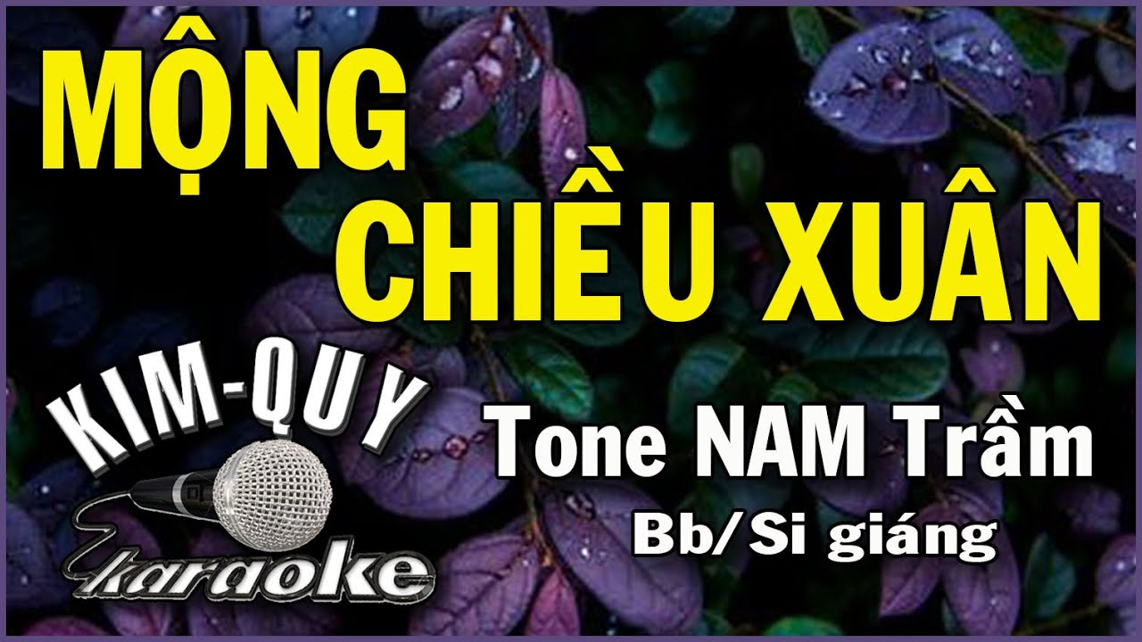 MỘNG CHIỀU XUÂN - KARAOKE ( TANGO ) - Tone NAM Trầm ( Bb/Si giáng )