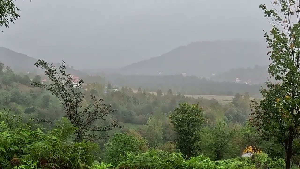 Beautiful Rain l Amazing Forest | Nature #nature #waterfall #rain sound of nature