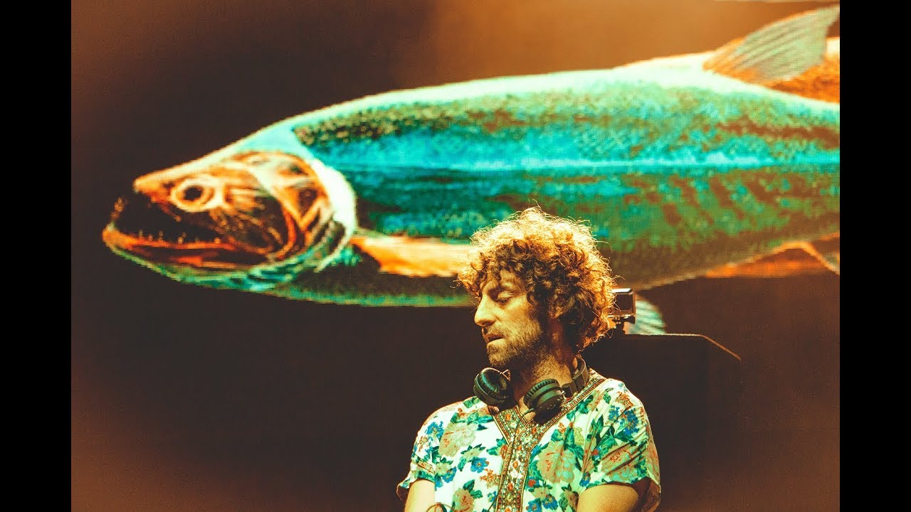 LA PAYARA - Festival Estéreo Picnic