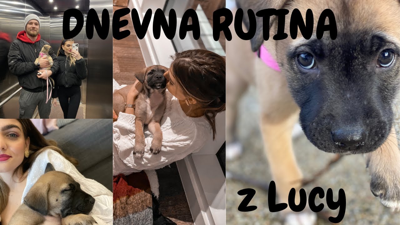 DNEVNA RUTINA Z LUCY + urejanje stanovanja l Kaja Karba