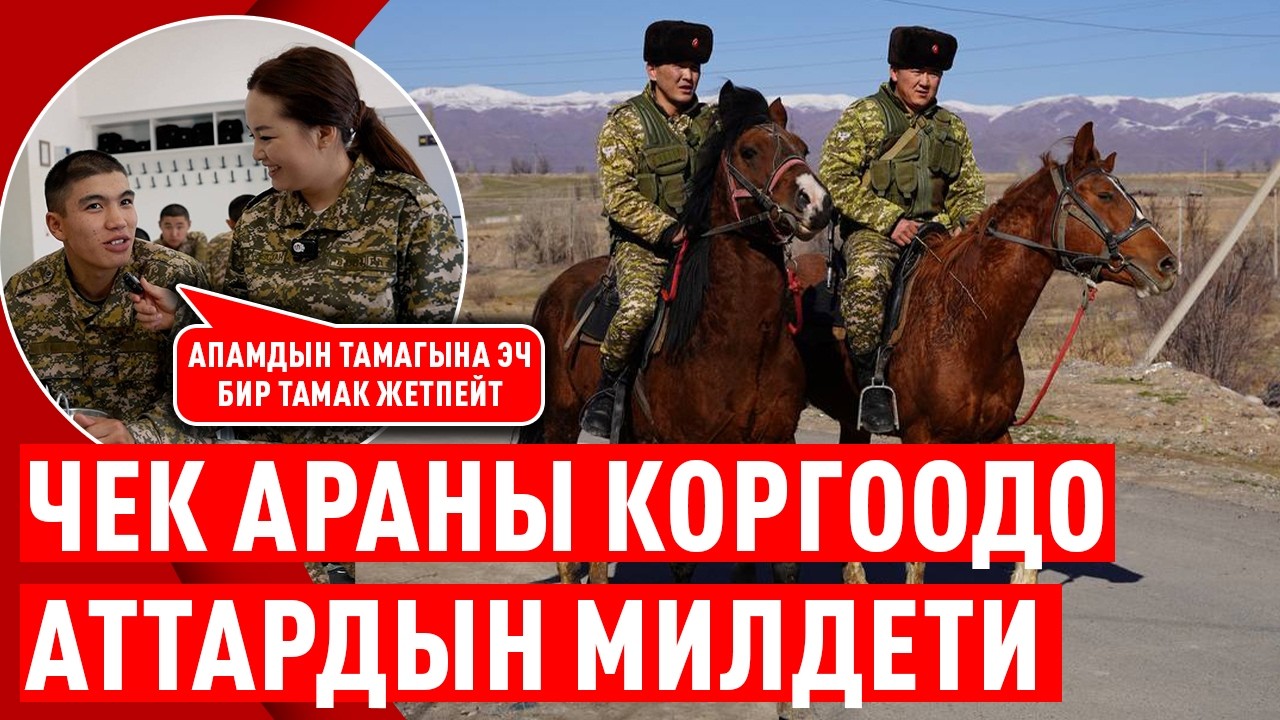 Кемин чек ара заставасында бир күн