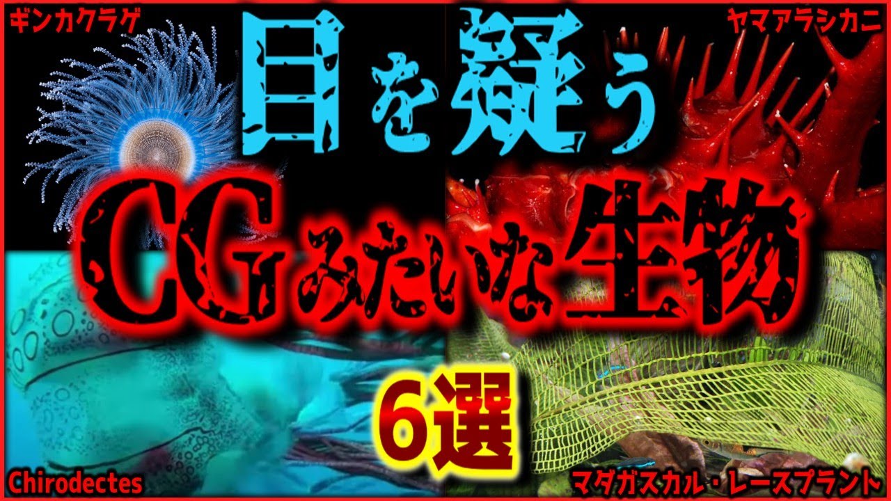 【閲覧注意】CGを超える!! CGっぽいのに実在するヤバイ造形の生物 6選【ゆっくり解説/作業用BGM/睡眠用/9割が知らない】